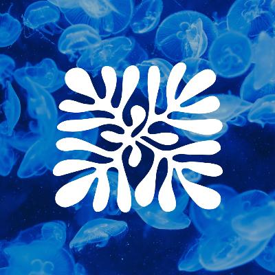 U.S. Ocean Policy Updates with Emily S. Patrolia (March 18th, 2025)