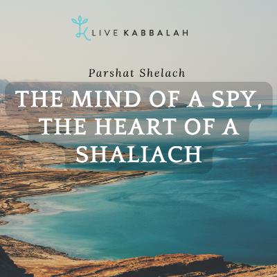 Parshat Shelach | The Mind of a Spy, the Heart of a Shaliach