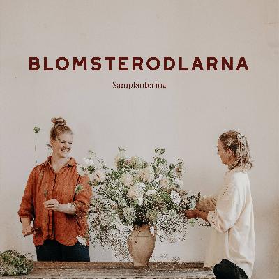 Samplantering