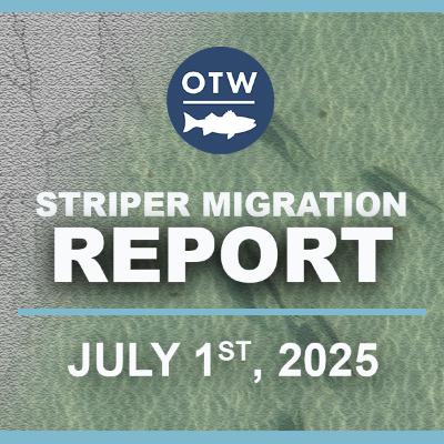 Striper Migration Report | July 1st 2025 Striper Migration Report | July 1st 2025