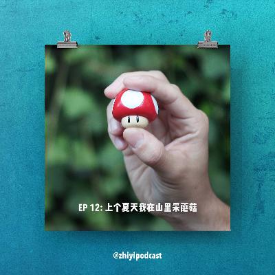 执异 EP 12：上个夏天我在山里采蘑菇