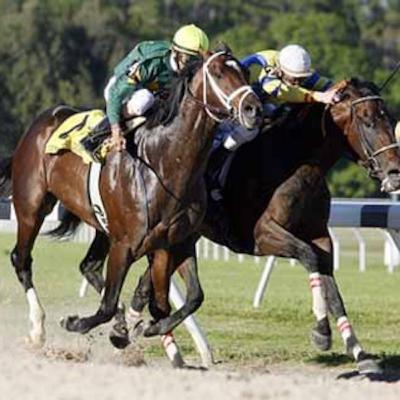 Street Sense duels with Any Given Saturday. Cobalt Blue, Curlin, and Song of Navarone win on the 2007 Derby trail.
