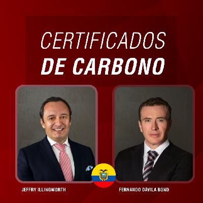 Certificados de Carbono