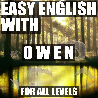 42. Owen's Global Friends