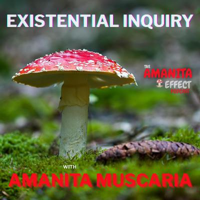 Existential Inquiry with Amanita Muscaria 🍄