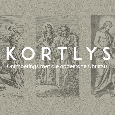 Kortlys | Wanneer ons begin twyfel | Emille Steyn Kortlys | Wanneer ons begin twyfel | Emille Steyn
