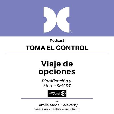 Viaje de opciones