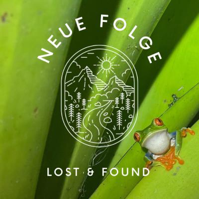 26 - Costa Rica: Zwischen HILFE eine Schlange im Apartment! 🐍 und Ohhh, ein süßes Faultier 🦥 …