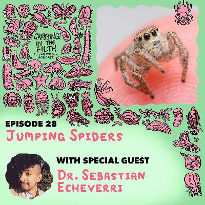 Jumping Spiders with Dr Sebastian Echeverri