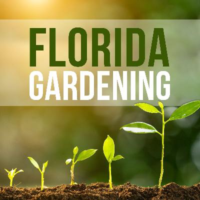 Florida Gardening @The.Bug.Girl TAKEOVER Pt2