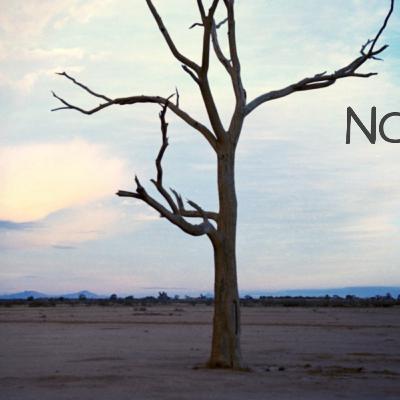 Ep # 20 - A Luta pelo Direito de Ser & Amar Parte 2