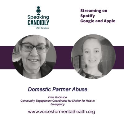 Domestic Partner Abuse Domestic Partner Abuse