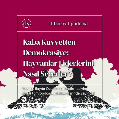 Kaba Kuvvetten Demokrasiye: Hayvanlar Liderlerini Nasıl Seçerler?