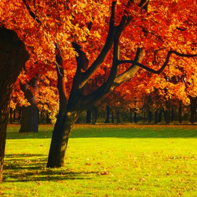 Dopoludnie na InfoVojne s Adrianom 6.11.2025 Dopoludnie na InfoVojne s Adrianom 6.11.2025