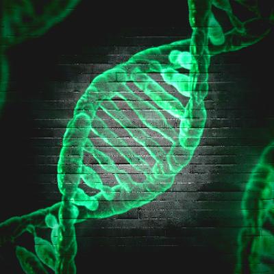 Human Genome Project: Decoding The Human Blueprint Human Genome Project: Decoding The Human Blueprint