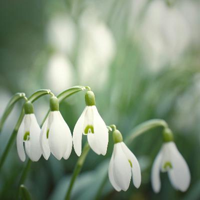 Spring Clean Your Skincare: What to Change for the New Season