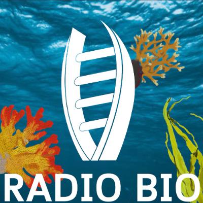 Dr. Anya Brown: Coral, Seaweed, and Bacteria, Oh My!