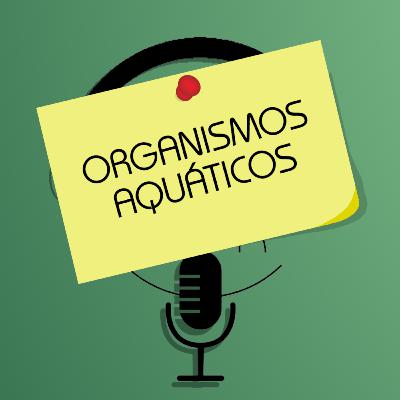Memorando 2: Organismos Aquáticos Memorando 2: Organismos Aquáticos