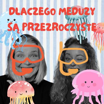 DLACZEGO MEDUZY SĄ PRZEZROCZYSTE?