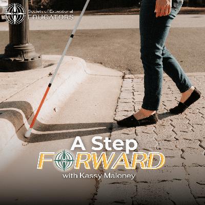 169. Mastering Collaboration Strategies for Students with Visual Impairments from a Former Adapted PE Teacher Turned TVI