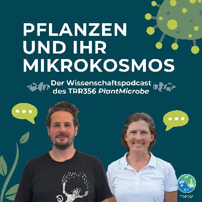 #10 Von Genetik zu Genomik: Welchen Einfluss haben Gene auf das pflanzliche Mikrobiom? – Mit Dr. Niklas Schandry