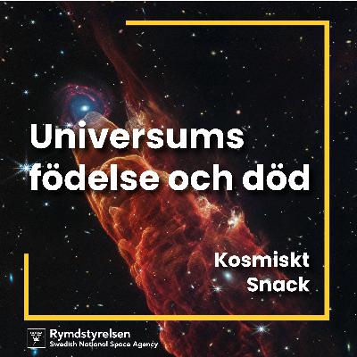 Universums födelse och död