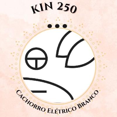 Leitura Kin 250 - Cachorro Elétrico Branco - NS1.38.05.15 - Dali Leitura Kin 250 - Cachorro Elétrico Branco - NS1.38.05.15 - Dali