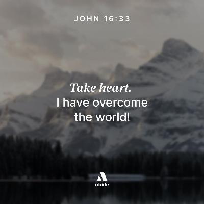 Not Feeling Christmasy? Not Feeling Christmasy?