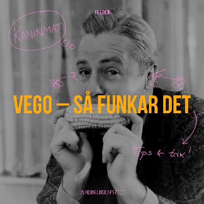 16. Vego – så funkar det
