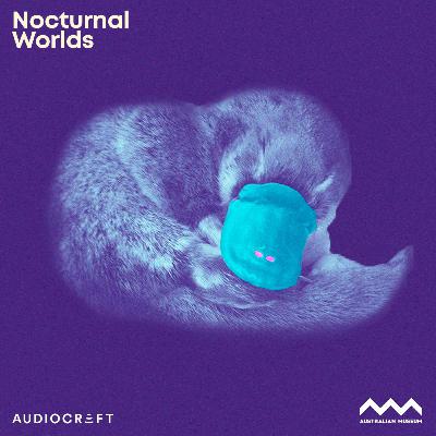 Soundscape - Platypus