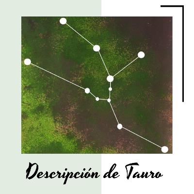 Descripción de Tauro