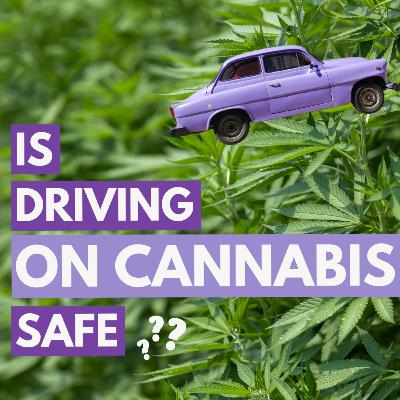 Is Driving on Cannabis Safe? EP 213