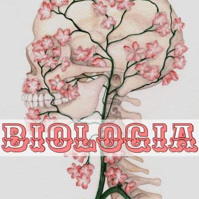 Reproduccion humana