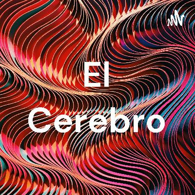 El cerebro