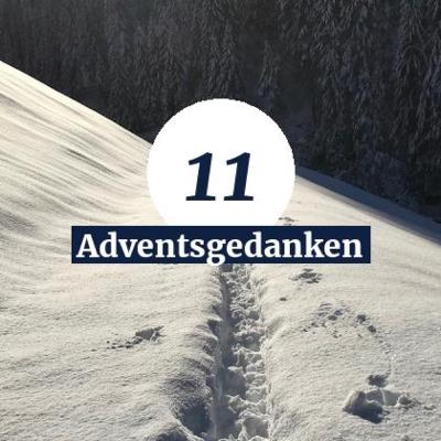 Tag 11 - Gut so