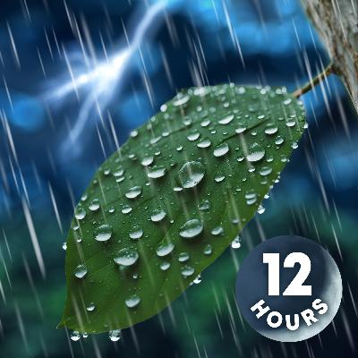Tropical Rain & Thunder Sounds for Sleeping | 12 Hours