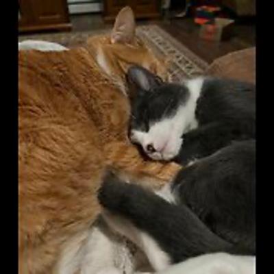 Episode 3039 CWSA 12/07/25 Episode 3039 CWSA 12/07/25