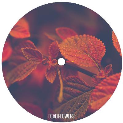 Dead Flowers (Original Mix) [CLIP]