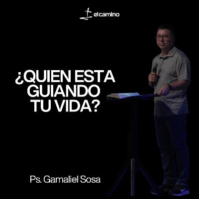 ¿QUIEN ESTA GUIANDO TU VIDA? ¿QUIEN ESTA GUIANDO TU VIDA?
