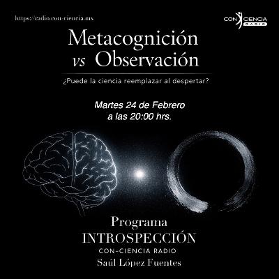 Programa Introspección-Saúl López-La Metacognición vs la Observación Programa Introspección-Saúl López-La Metacognición vs la Observación