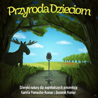 Przyroda Dzieciom #2: Nad jeziorem