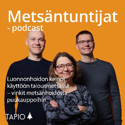 Luonnonhoidon keinot käyttöön talousmetsässä – vinkit metsänhoidosta puukauppoihin