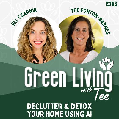 Jill Czarnik: Declutter & Detox your home using AI