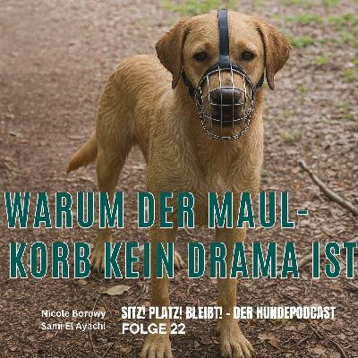 #22 Der Maulkorb - Warum er kein Drama ist