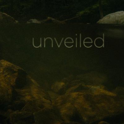 New Covenant | Unveiled | Molly Kate Hance