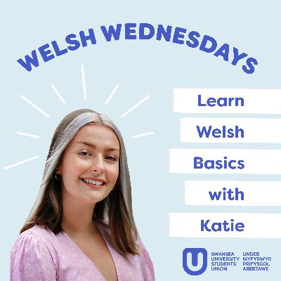Learn Welsh Basics with Katie