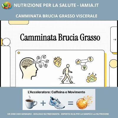 #130-26 CAMMINATA BRUCIA GRASSO VISCERALE #130-26 CAMMINATA BRUCIA GRASSO VISCERALE