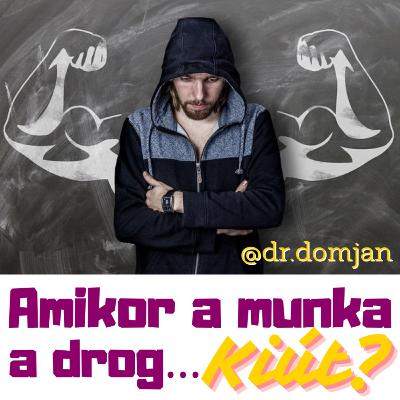 VI/5. Amikor a munka a drog… Kiút?