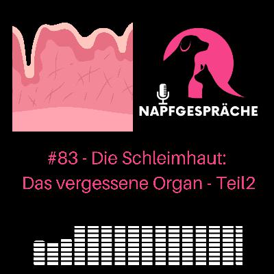 #83 - Die Darmschleimhaut des Hundes Teil2