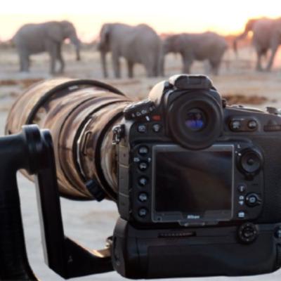 Guia para hacer un Safari Fotográfico en Africa. Parte tercera. Elegir el momento, la diferencia entre una foto buena y otra mágica. Guia para hacer un Safari Fotográfico en Africa. Parte tercera. Elegir el momento, la diferencia entre una foto buena y otra mágica.